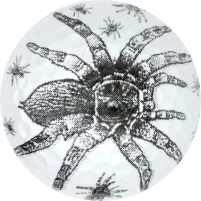Tarantula Novelty Golf Ball